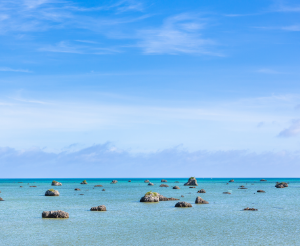 佐和田の浜