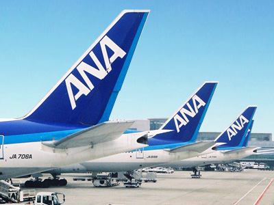 Ana 全日空 国内線の往復 片道航空券の予約サイト 格安航空券センター