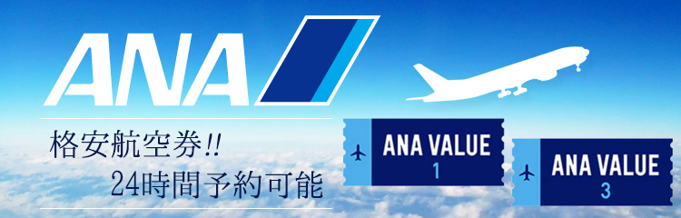 Ana 全日空 国内線の往復 片道航空券の予約サイト 格安航空券センター