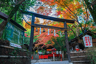 野宮神社（ののみやじんじゃ） 