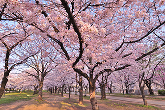 大阪城公園