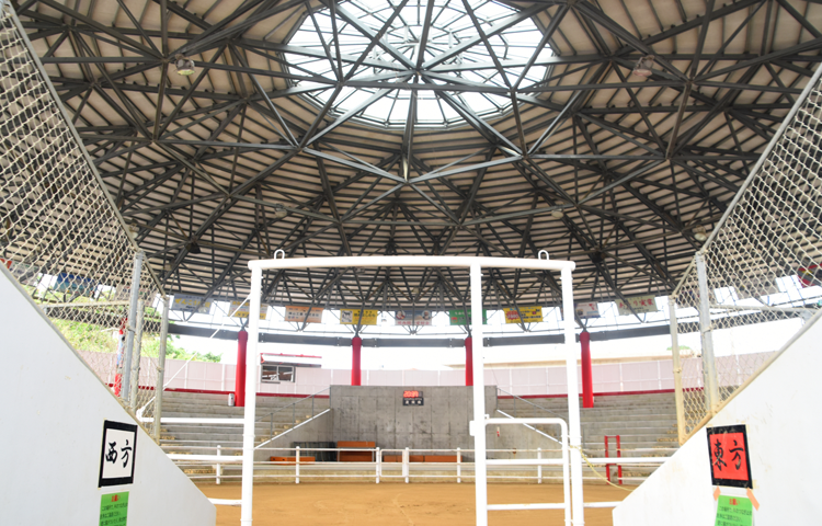 徳之島なくさみ館