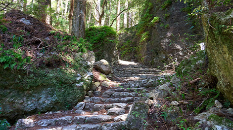 愛知県の観光スポット7