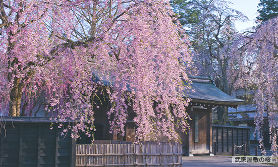 秋田県のドライブコース1