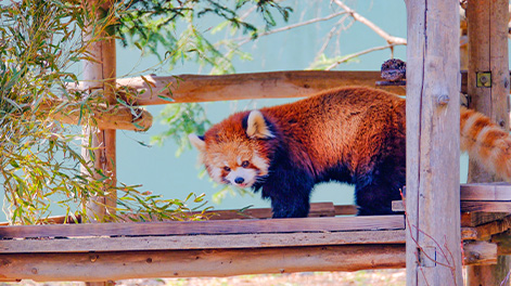 千葉県の観光スポット1