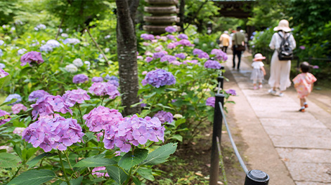 千葉県の観光スポット2