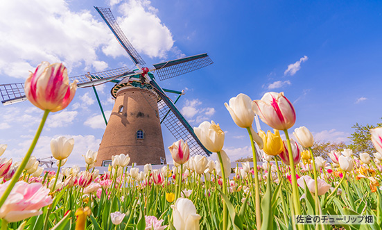 千葉県のドライブコース1