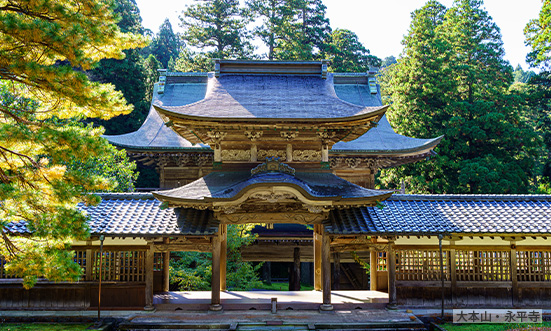 福井県のドライブコース3