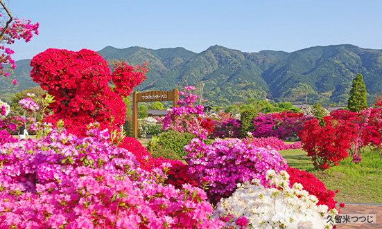 福岡県のドライブコース2
