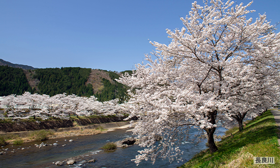 岐阜県のドライブコース1