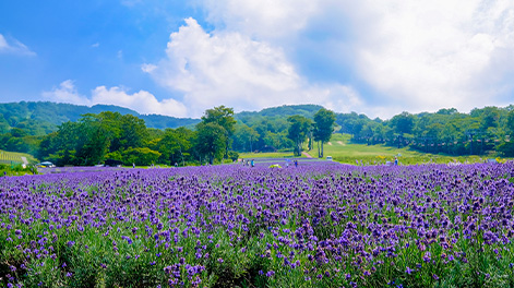 群馬県の観光スポット3