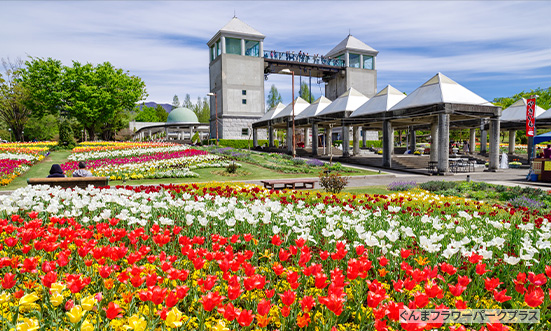 群馬県のドライブコース1