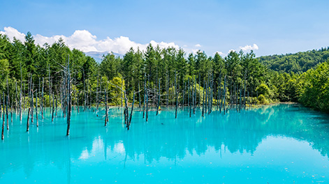 北海道の観光スポット3