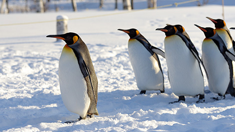 北海道の観光スポット4