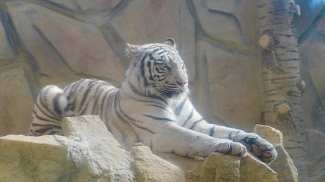 兵庫県の観光スポット3