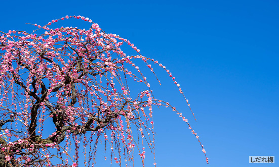 兵庫県のドライブコース3