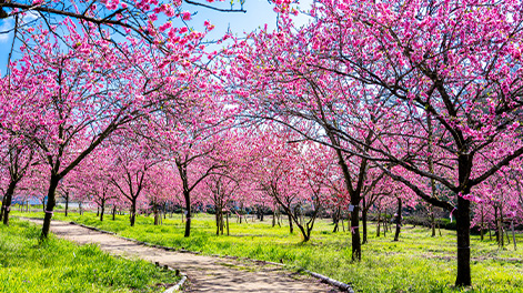 茨城県の観光スポット4