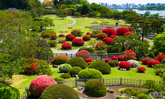 茨城県のドライブコース1