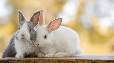 石川県の観光スポット3