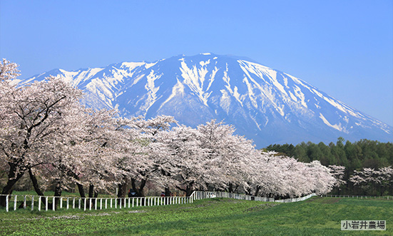 岩手のドライブコース2