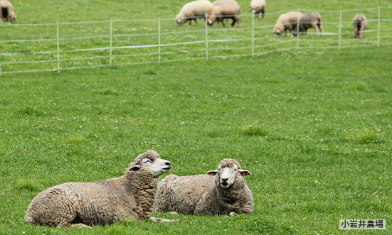 岩手のドライブコース3