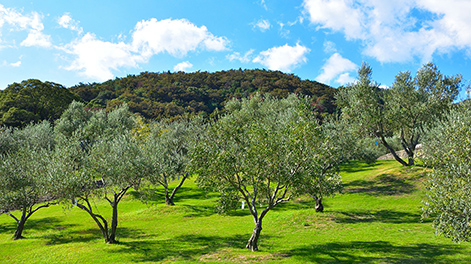 香川県の観光スポット1