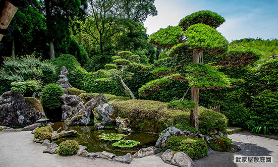 鹿児島県のドライブコース1