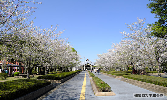 鹿児島県のドライブコース2