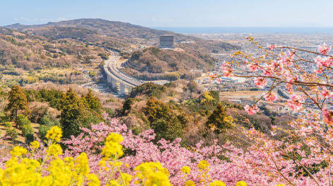 神奈川県の観光スポット7