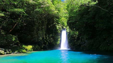 高知県の観光スポット2