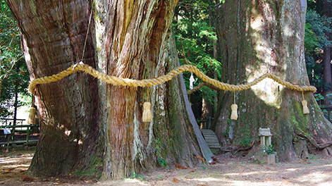 高知県の観光スポット7