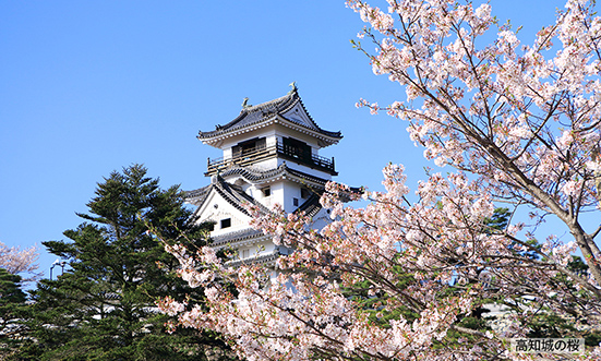 高知県のドライブコース1