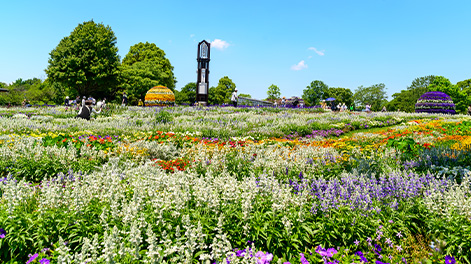 熊本県の観光スポット1