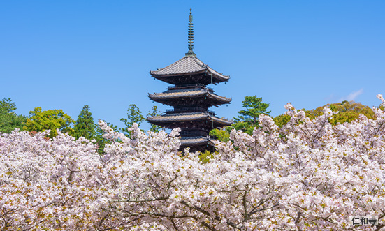 京都府のドライブコース2