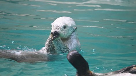 三重県の観光スポット4