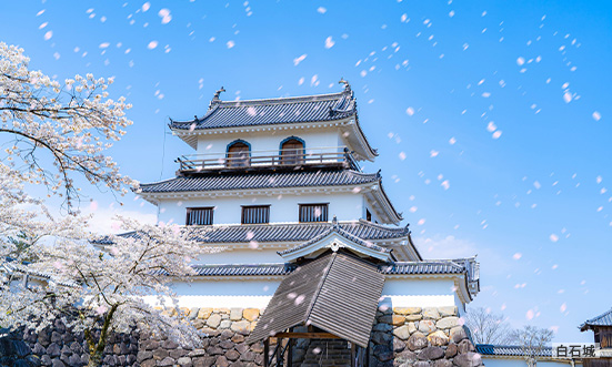 宮城県のドライブコース1