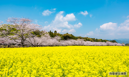 宮崎県のドライブコース2