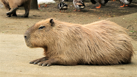 長崎県の観光スポット5
