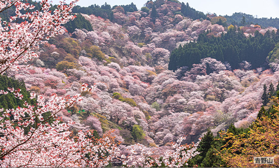 奈良県のドライブコース2