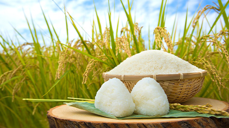 新潟県の観光スポット4