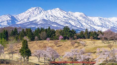新潟県の観光スポット5