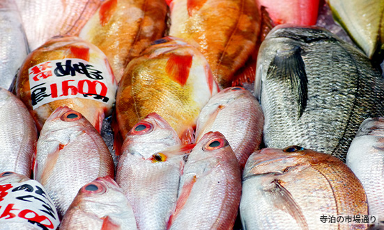 新潟県のドライブコース3