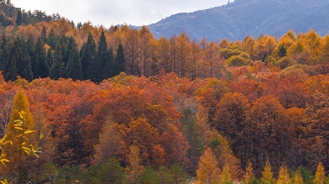 岡山県の観光スポット1
