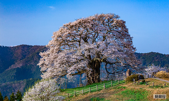 岡山県のドライブコース3