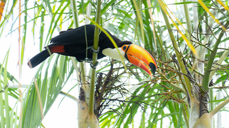 沖縄県の観光スポット2
