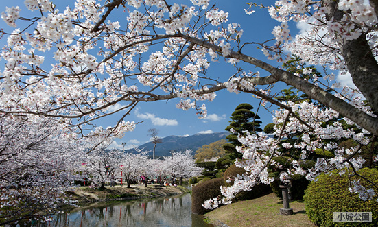 佐賀県のドライブコース2