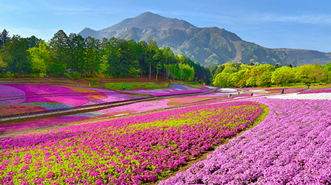 埼玉県の観光スポット4