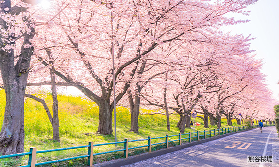 埼玉県のドライブコース1