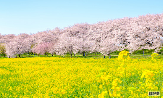 埼玉県のドライブコース3