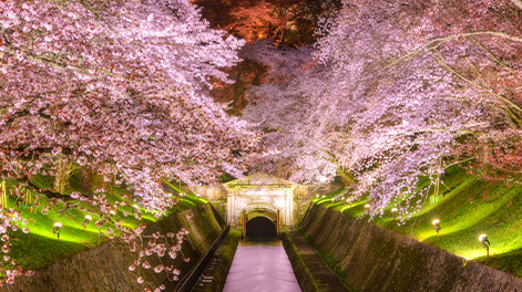 滋賀県の観光スポット6